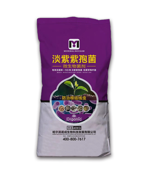 淡紫紫孢菌